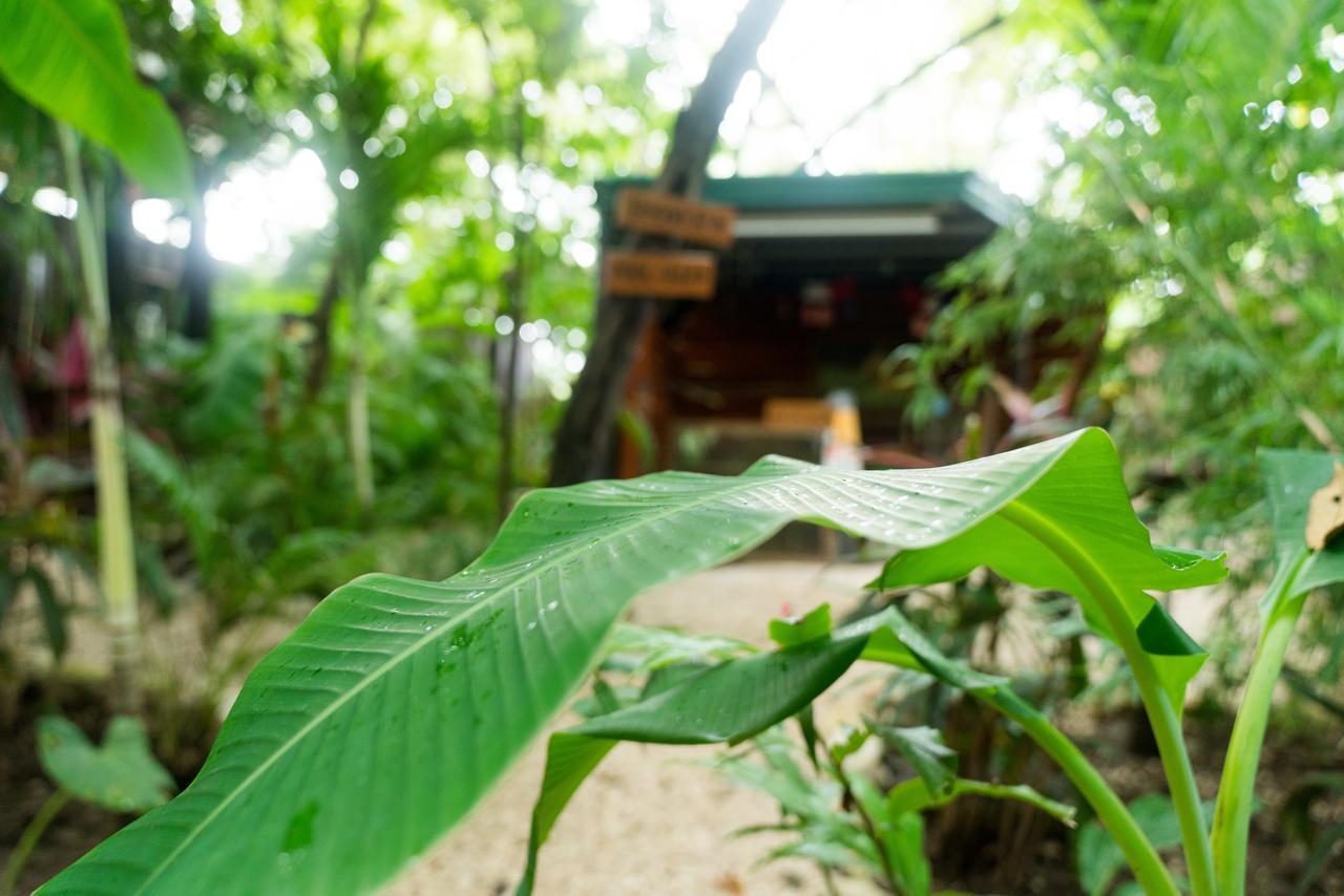 Green Sanctuary Hotel 노사라 외부 사진