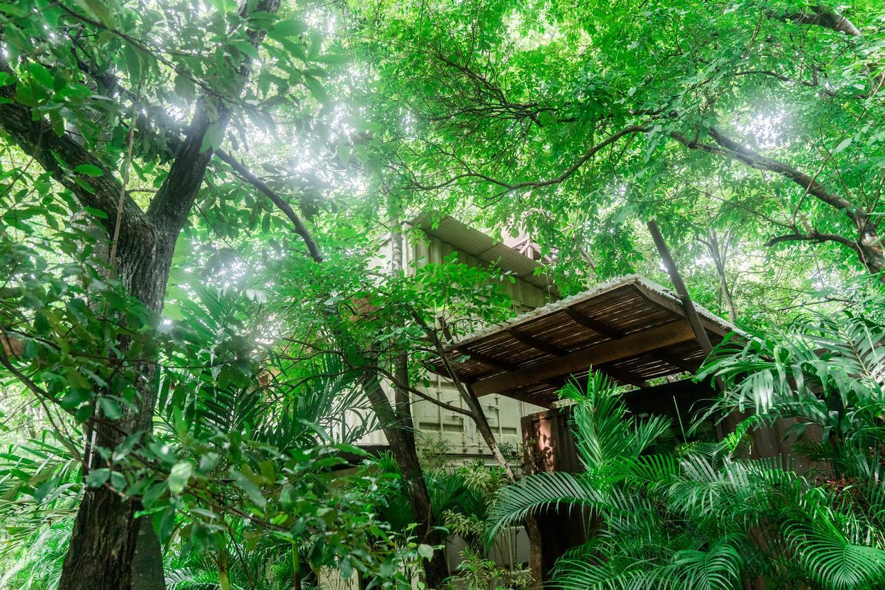 Green Sanctuary Hotel 노사라 외부 사진